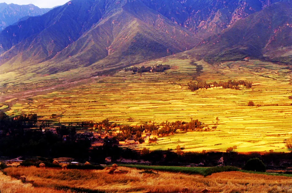 凉山凉山移动宽带